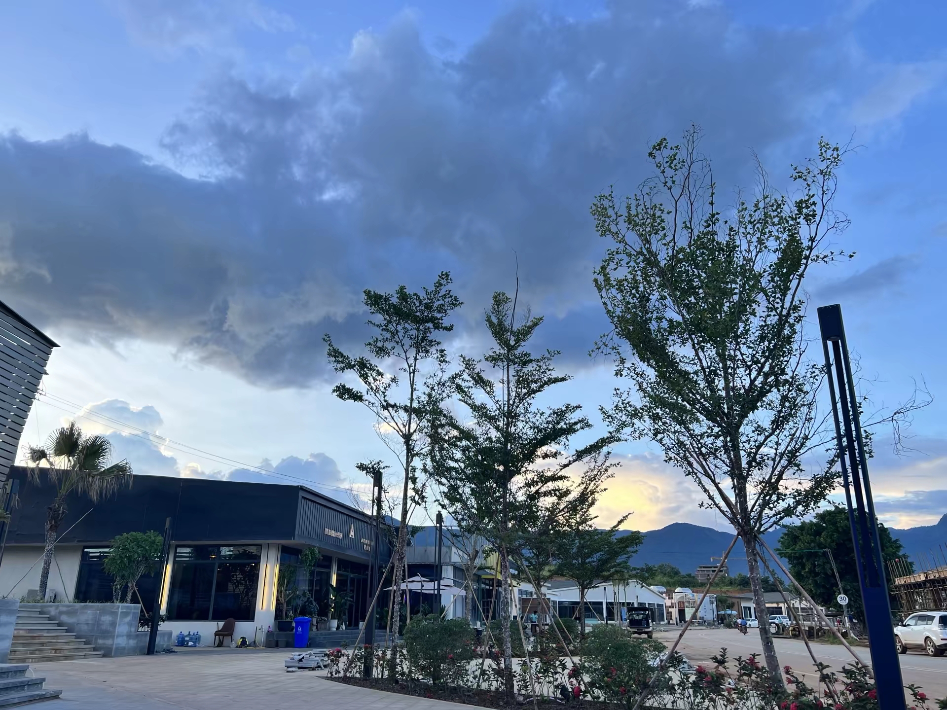 龙之战争